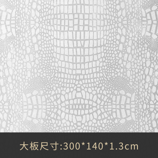 2141C白鱷魚