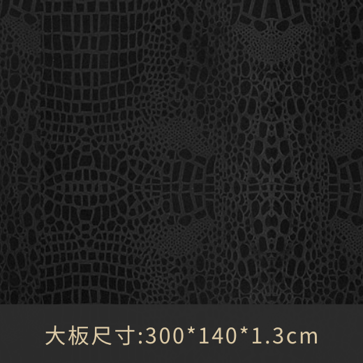 Read more about the article 3100C黑鱷魚