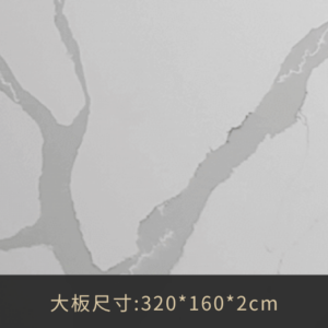 A8970威尼斯