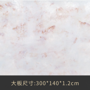 SI-006