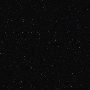 p004-perna-black